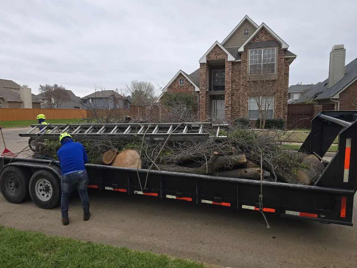 Expert Tree Pest Control with proper safety equipment in Russellville